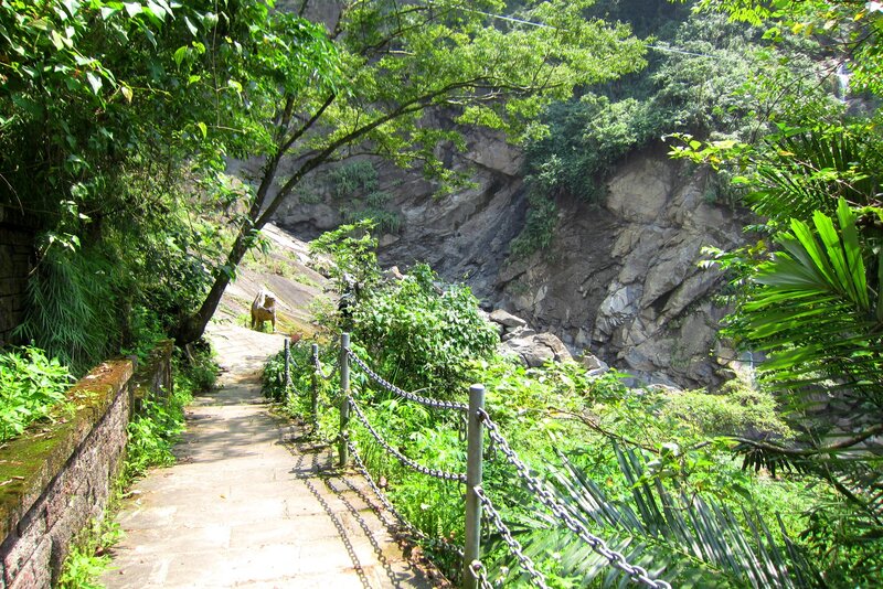Stone Path in Forest — Green, Serene, Afternoon, Photograph, Trees, Rocks