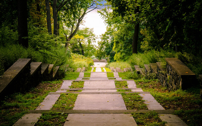 Stone Path in Forest — Green, Serene, Afternoon, Photograph, Trees, Steps