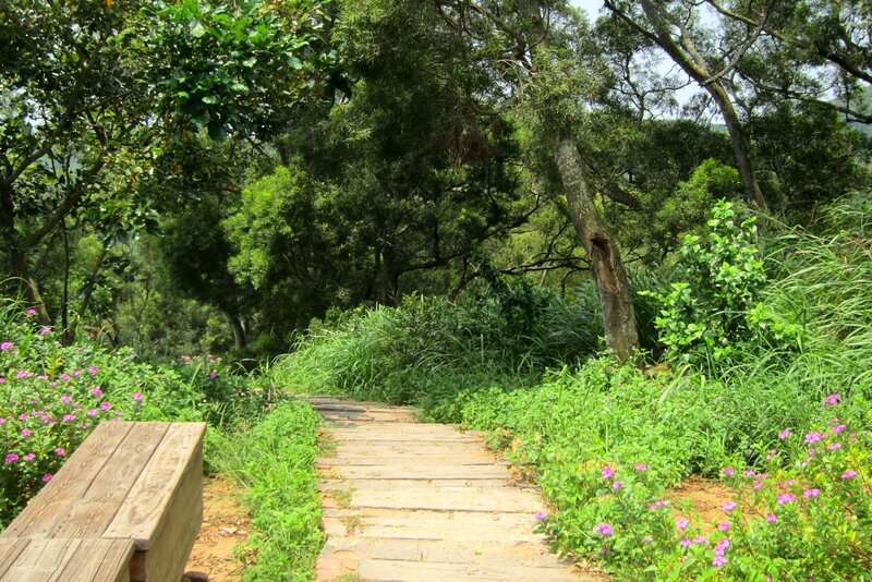 Stone Path in Forest — Green, Serene, Afternoon, Photograph, Wooden Bench