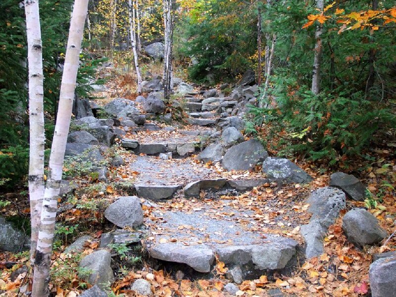 Stone Path in Forest — Green, Serene, Autumn