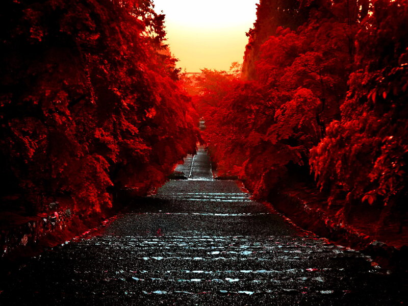 Stone Path in Forest — Red, Dramatic
