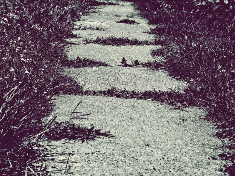 Stone Path in Garden — Black