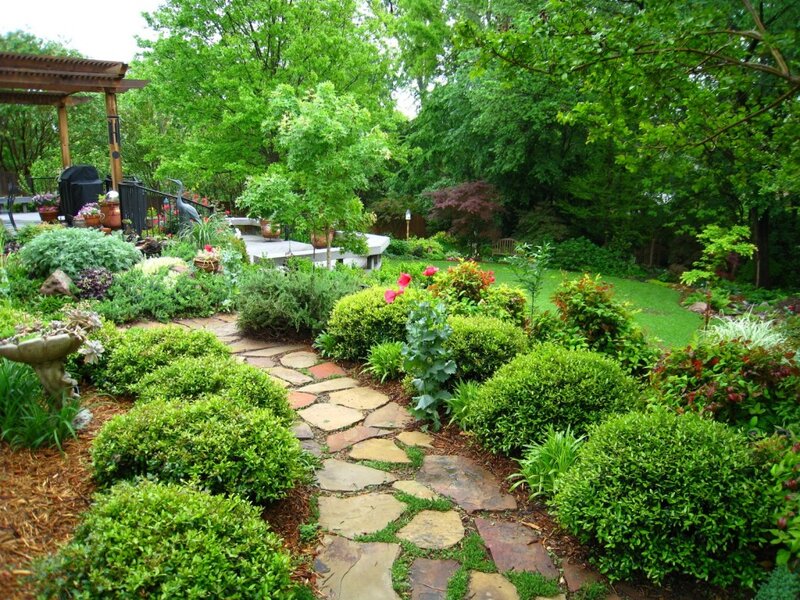 Stone Path in Garden — Green, Serene, Afternoon, Photograph, Bushes