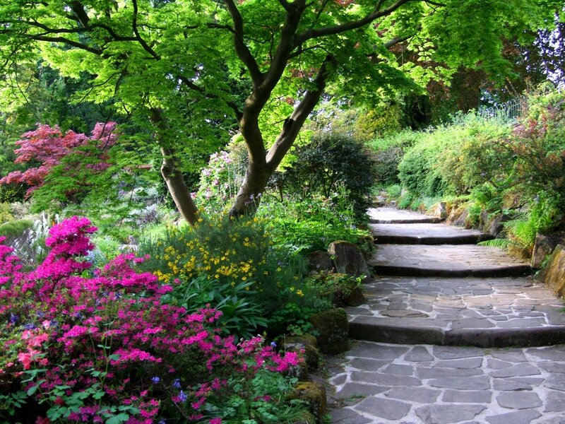 Stone Path in Garden — Green, Serene, Afternoon, Photograph, Flowers
