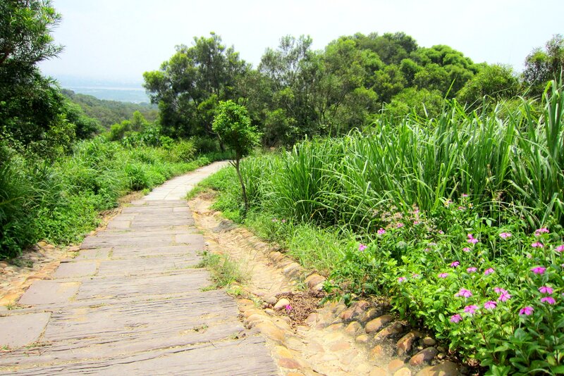 Stone Path in Garden — Green, Serene, Afternoon