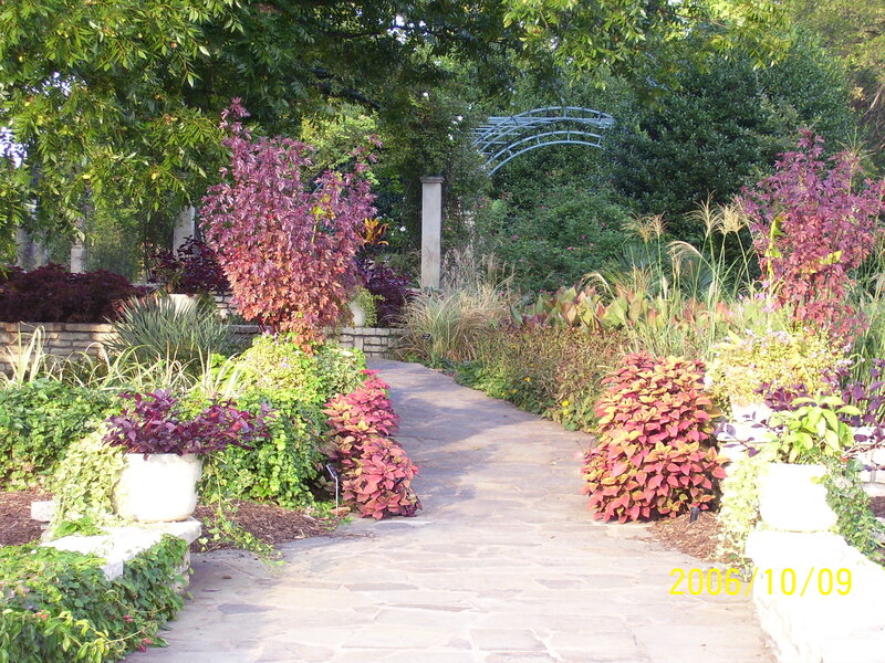 Stone Path in Garden — Green, Serene, Autumn
