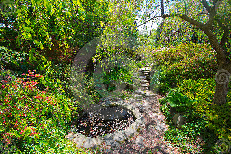 Stone Path in Garden — Green, Serene, Spring