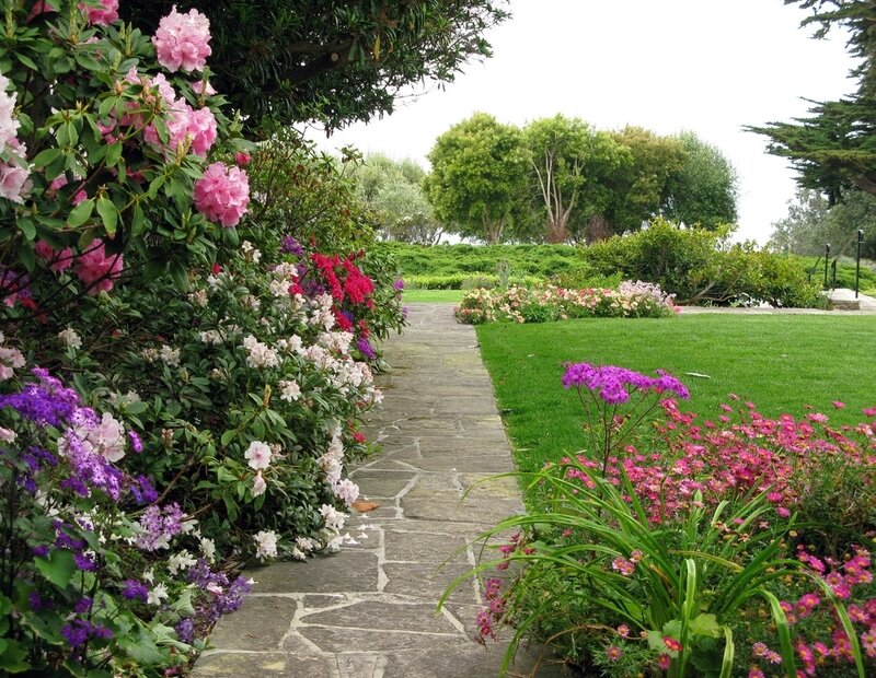 Stone Path in Garden — Green, Serene