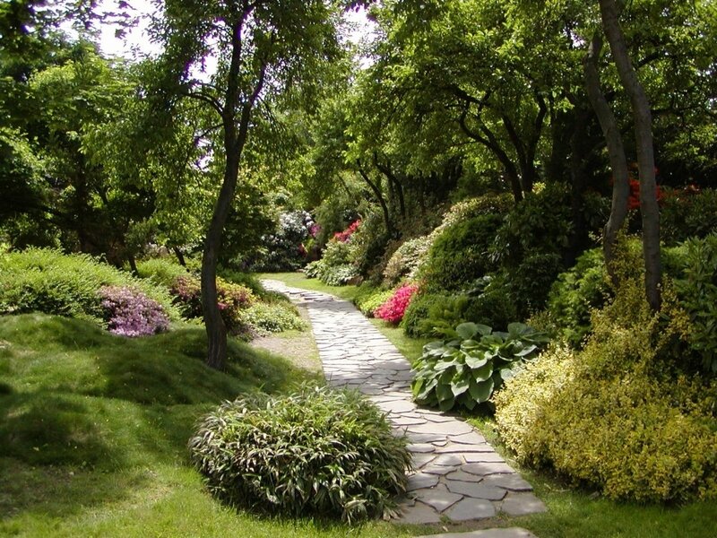 Stone Path in Garden — Green