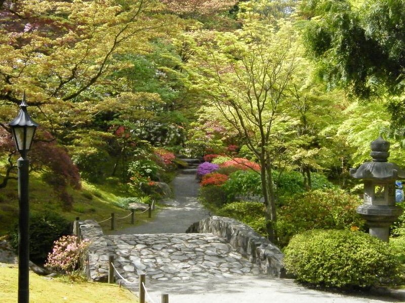 Stone Path in Garden
