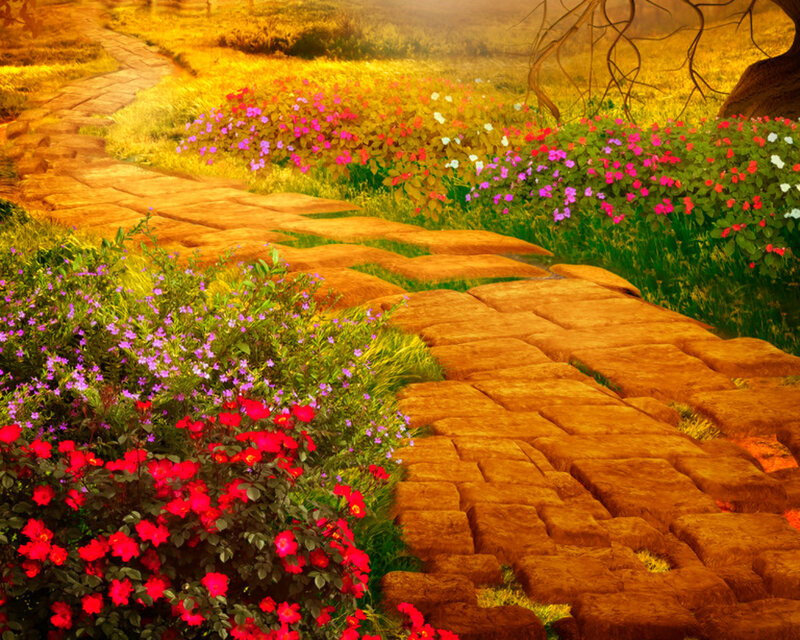 Stone Path in Garden — Yellow