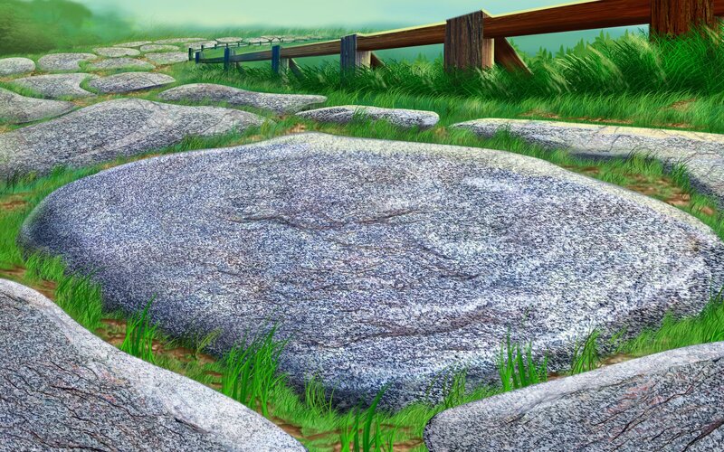 Stone Path in Grass