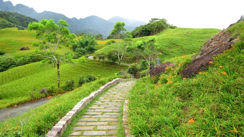Stone Path in Green Hills