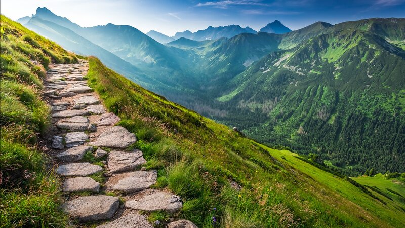 Stone Path in Mountains — Green