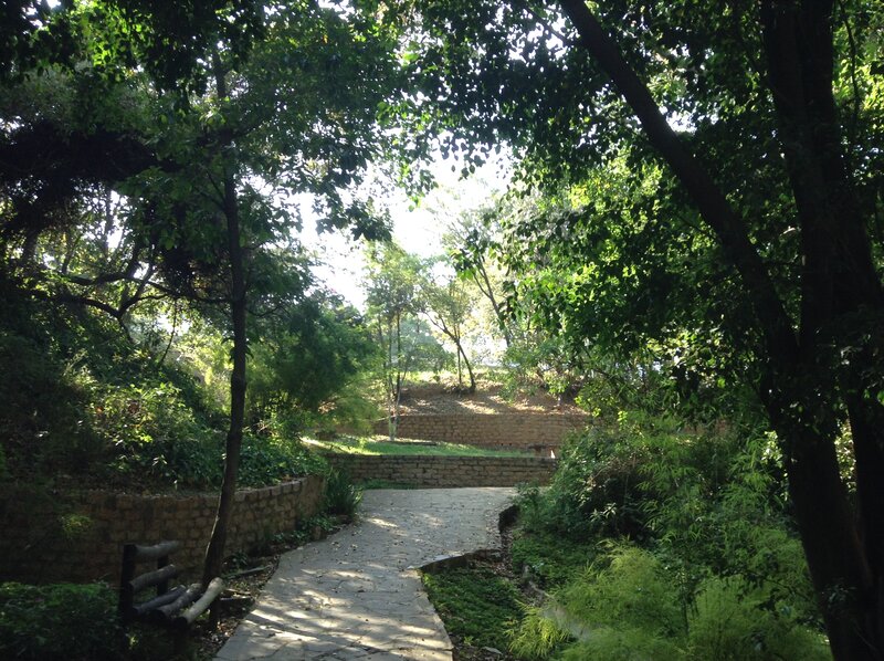 Stone Path in Park — Green, Serene, Afternoon, Photograph