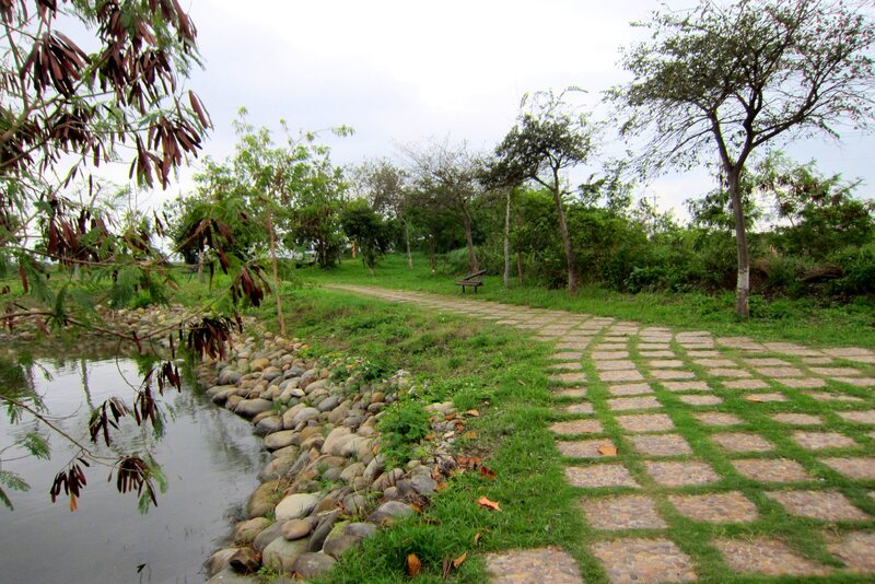 Stone Path in Park — Green, Serene, Afternoon