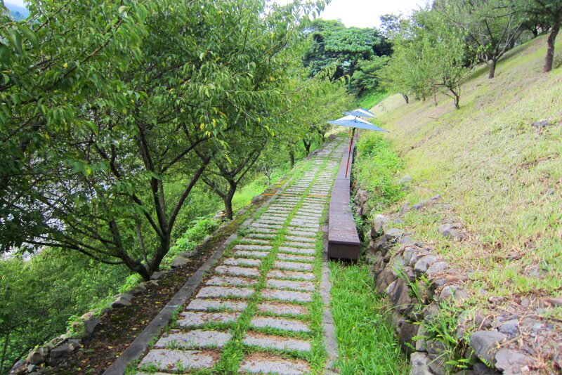 Stone Path in Park — Green, Serene