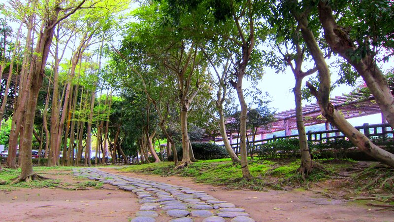 Stone Path in Park — Green