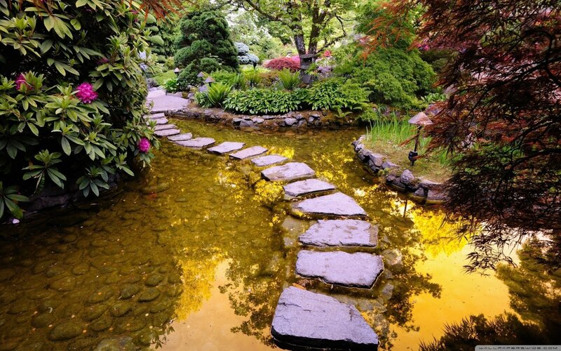 Stone Path in Pond — Green, Serene