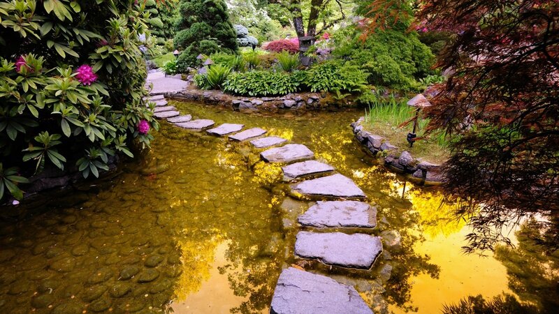 Stone Path in Pond