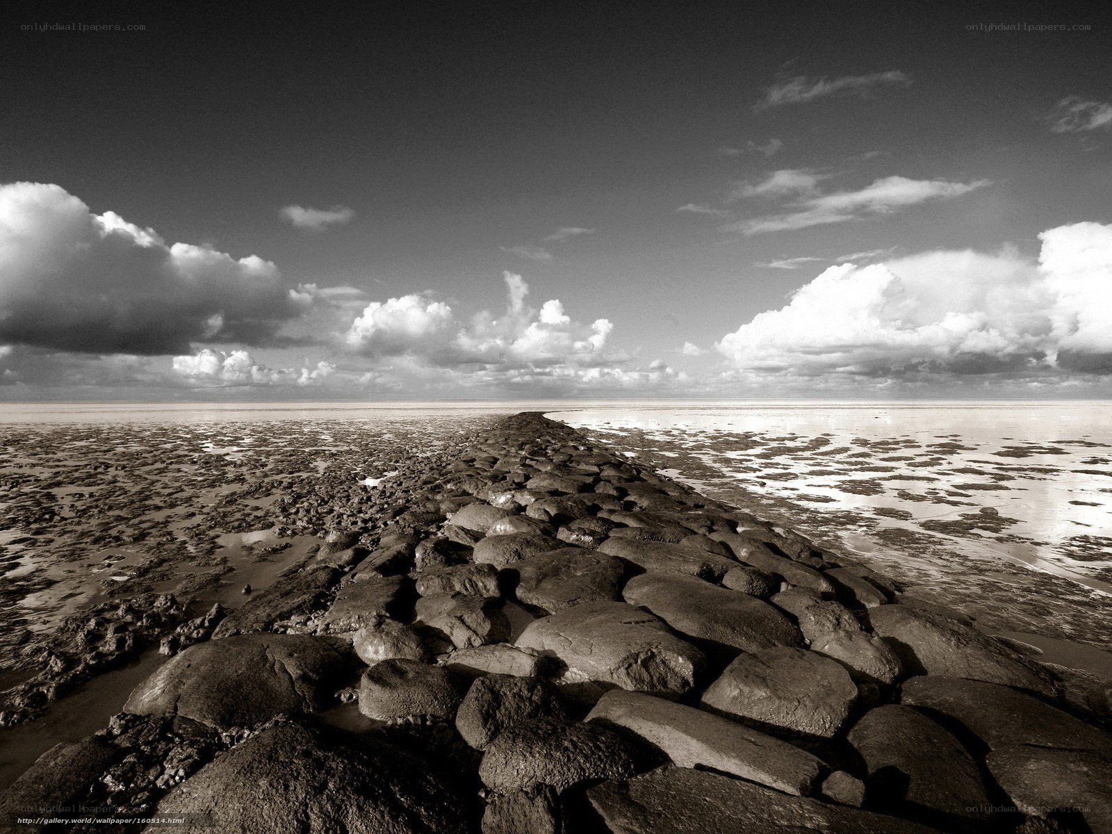 Stone path on a tidal flat