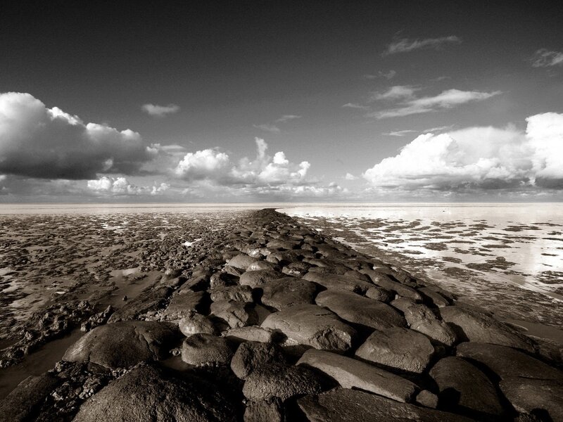 Stone path on a tidal flat