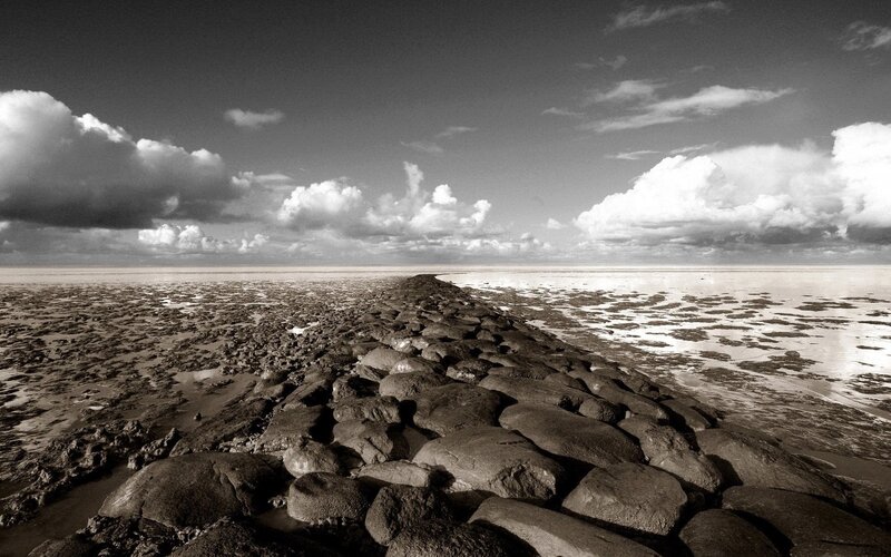 Stone path on a tidal flat