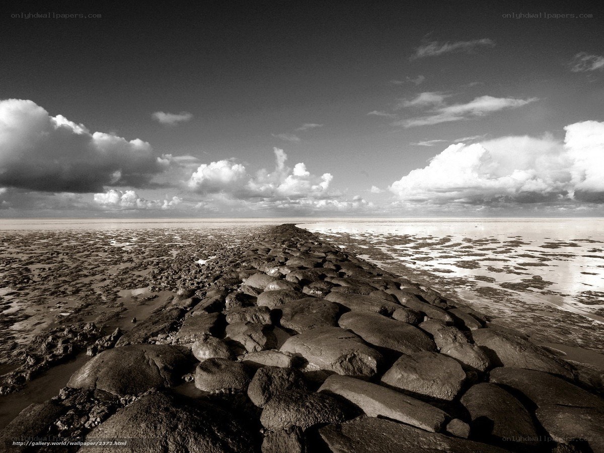 Stone path on a tidal flat