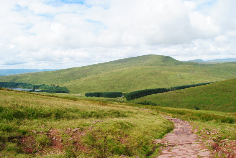 Stone Path on Grassy Hill