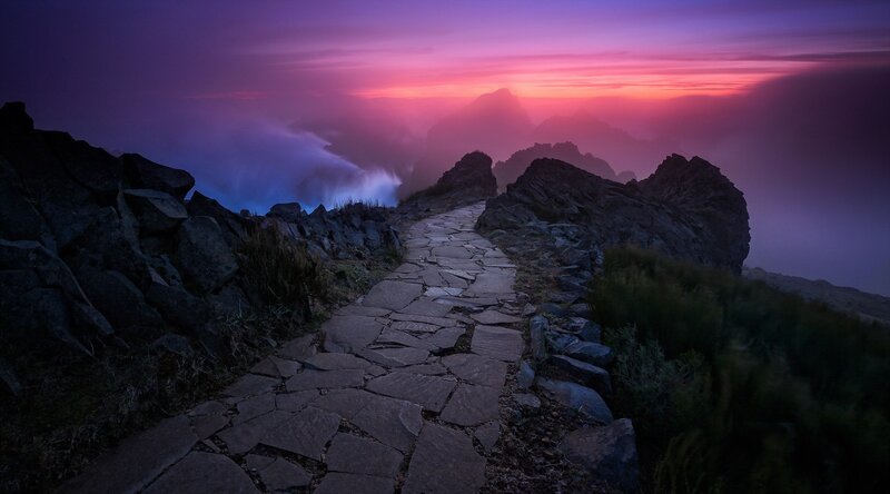 Stone Path on Mountain — Purple
