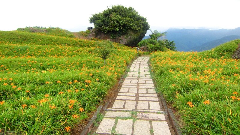 Stone Path Through Flowers