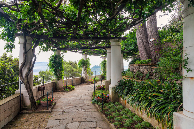 Stone Path under Pergola