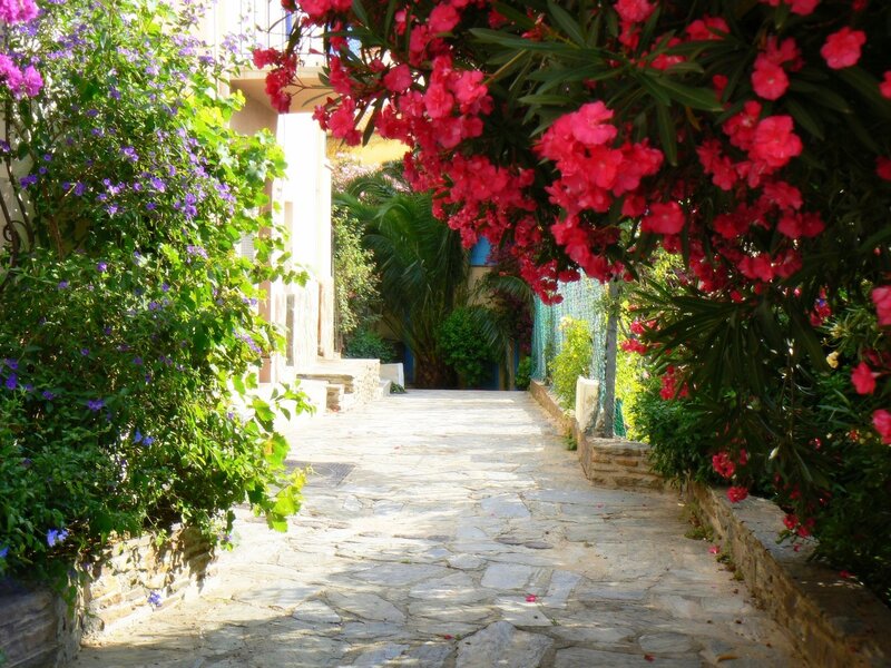 Stone Path with Flowers — Green, Serene