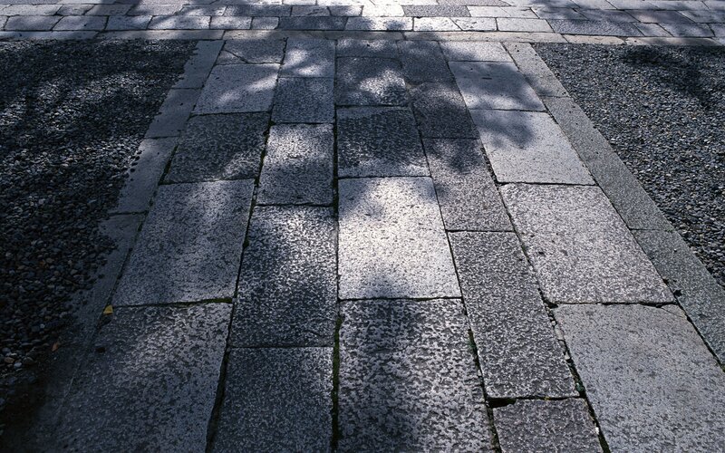 stone path with tree shadows