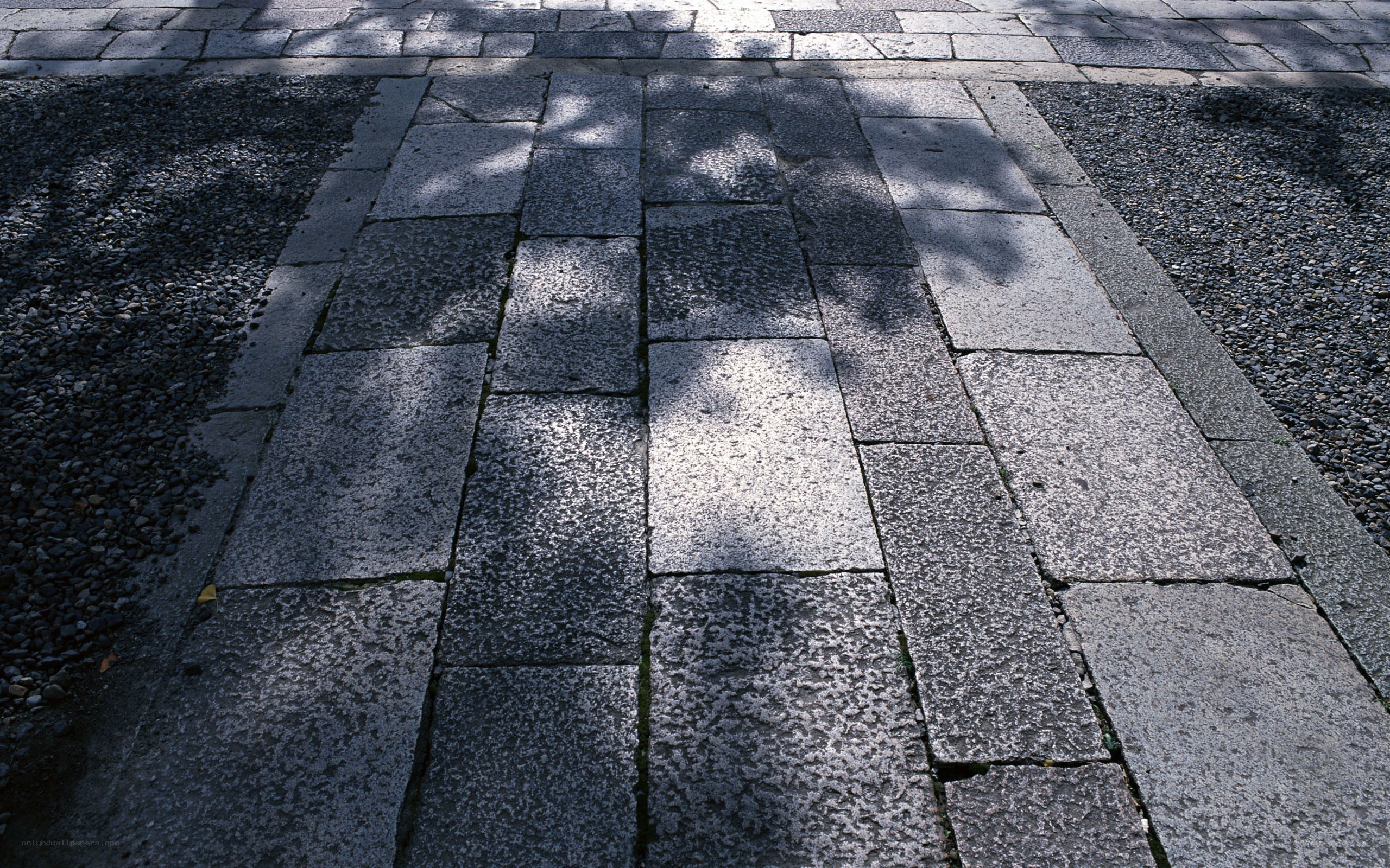 stone path with tree shadows