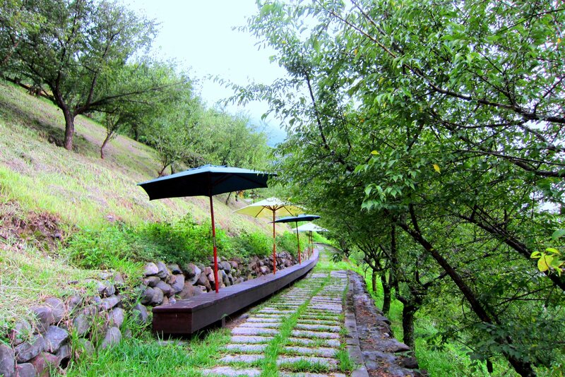 Stone Path with Umbrellas