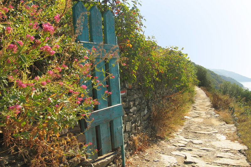 Stone Path with Wooden Gate
