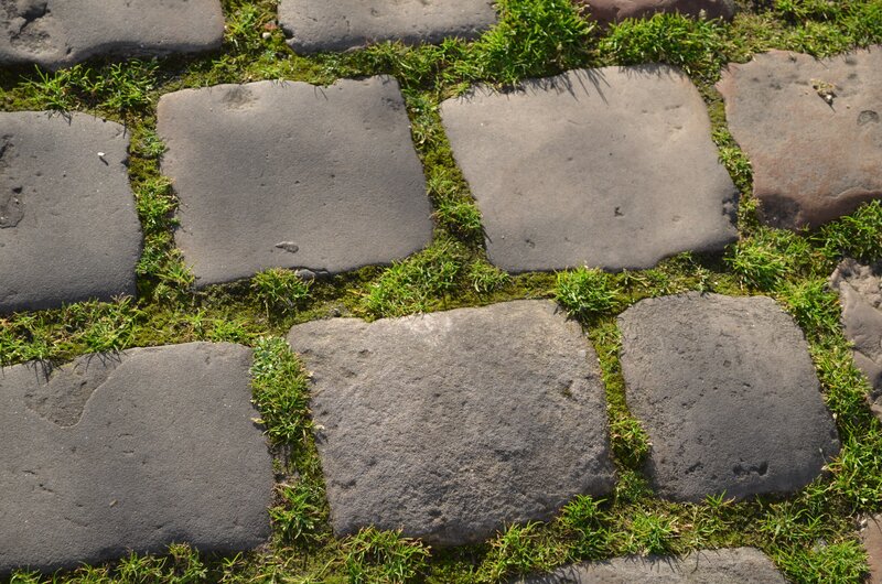 Stone Pavement with Grass