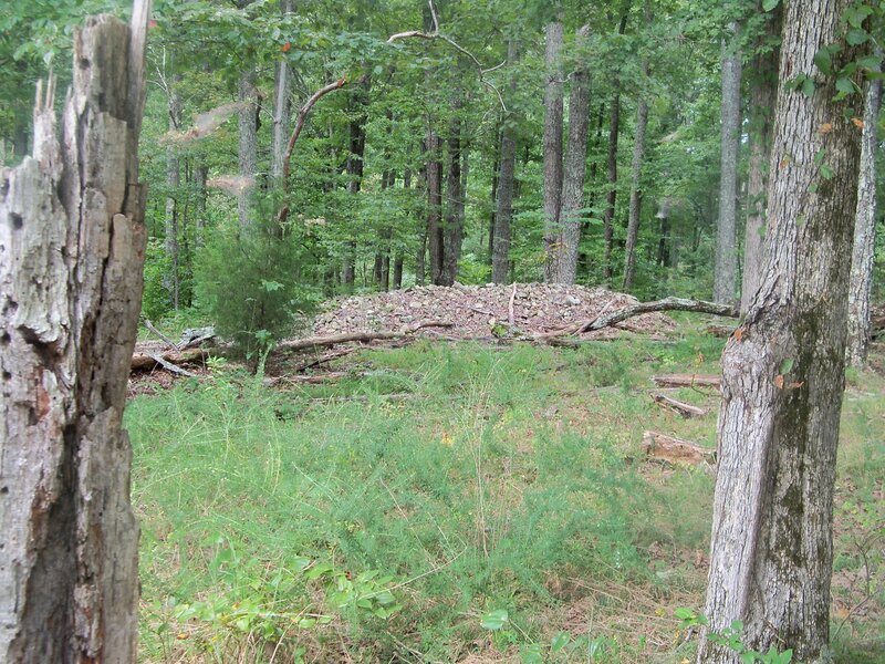 Stone Pile in Forest