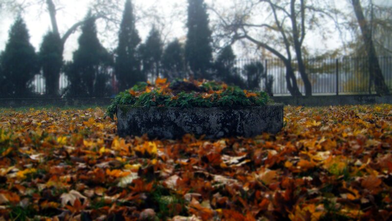 Stone Planter with Leaves