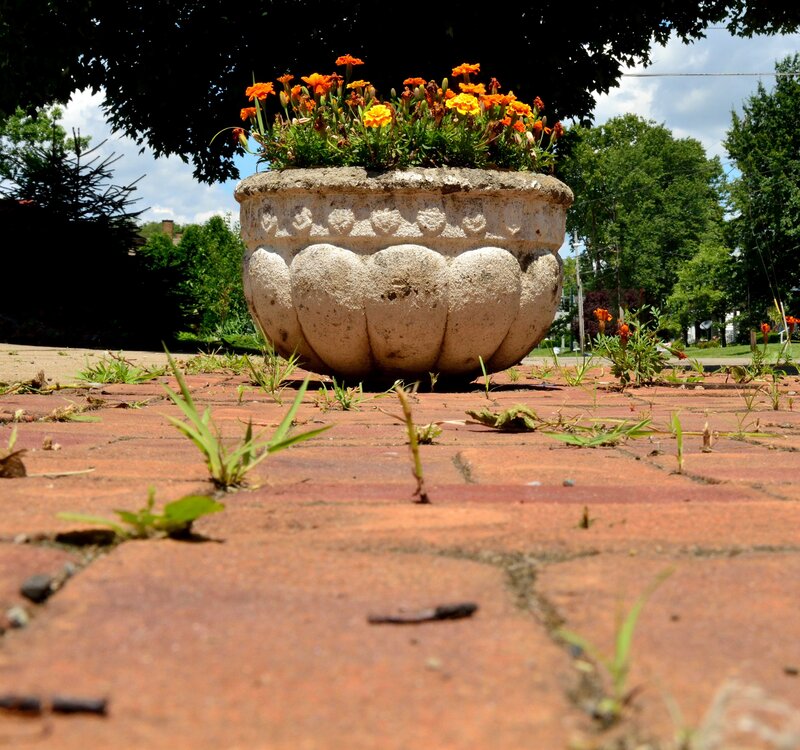 Stone Planter with Marigolds