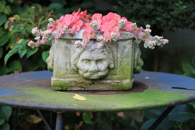 stone planter with succulents