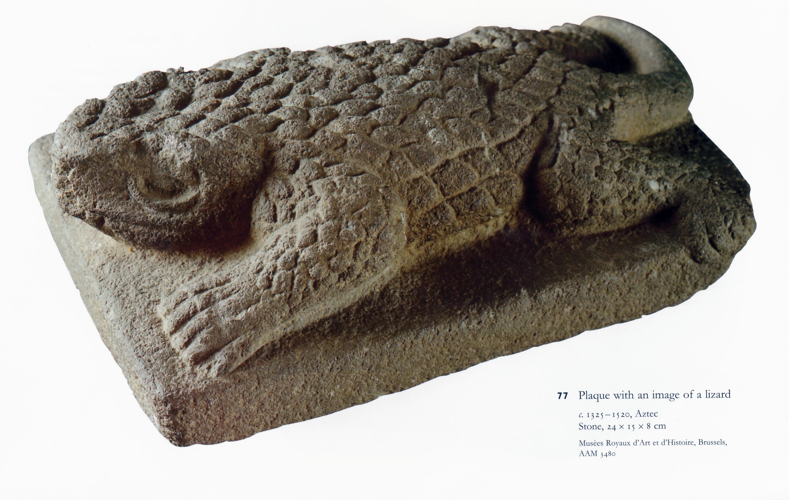 Stone plaque with lizard image