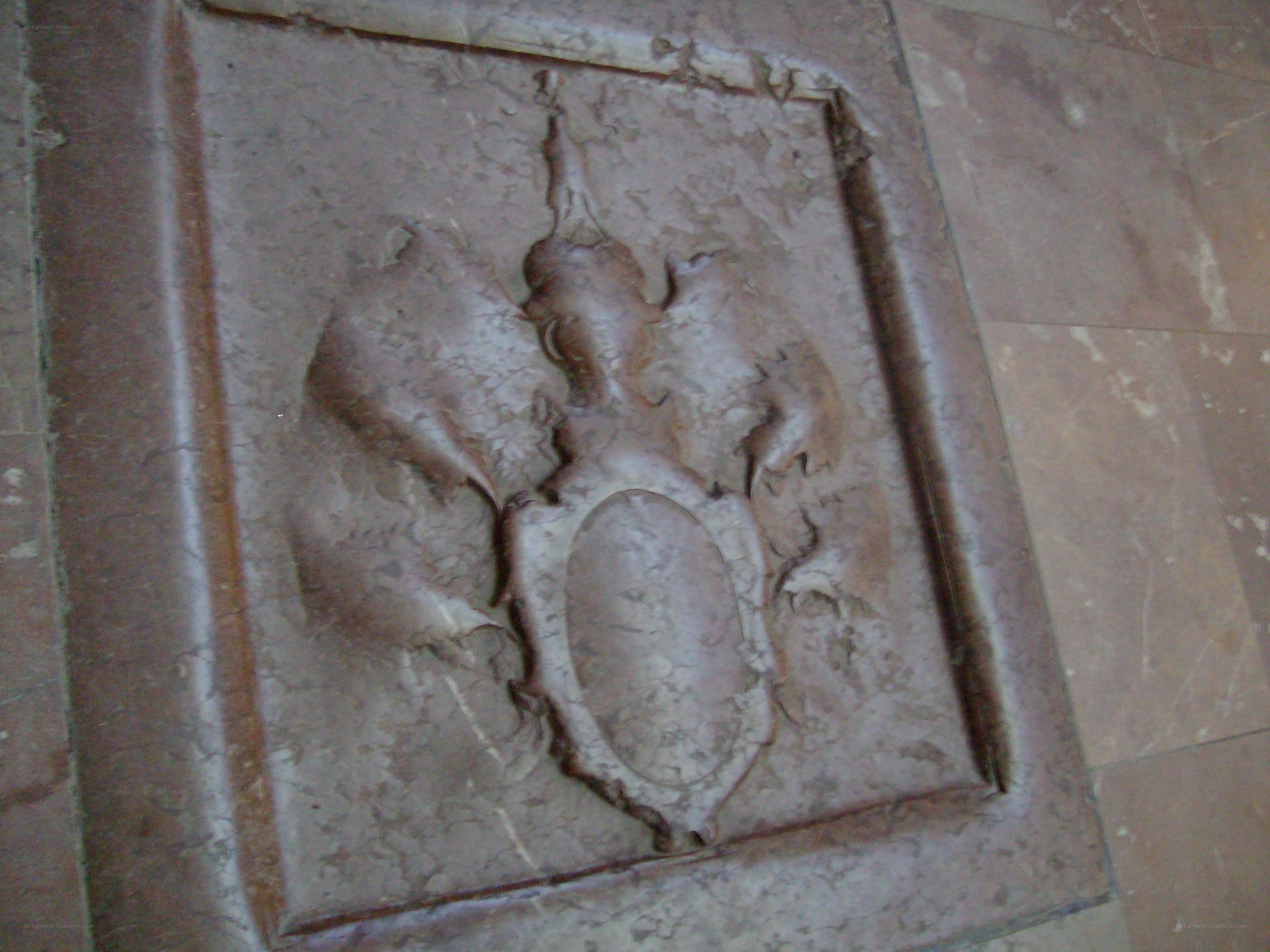 stone relief on wall