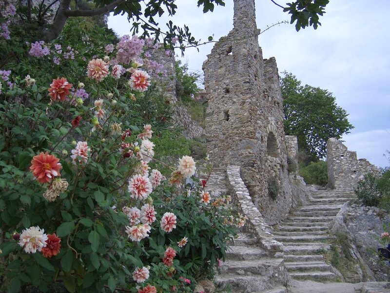 Stone Ruins with Flowers