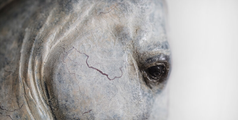 Stone Sculpture of Horse Eye