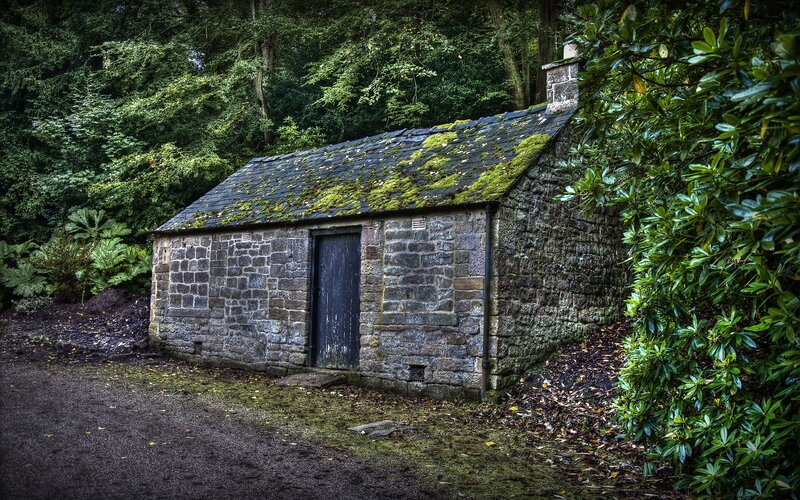 Stone Shed in Forest