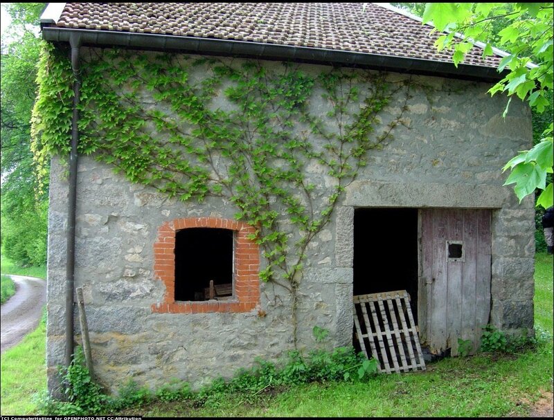 Stone Shed with Ivy