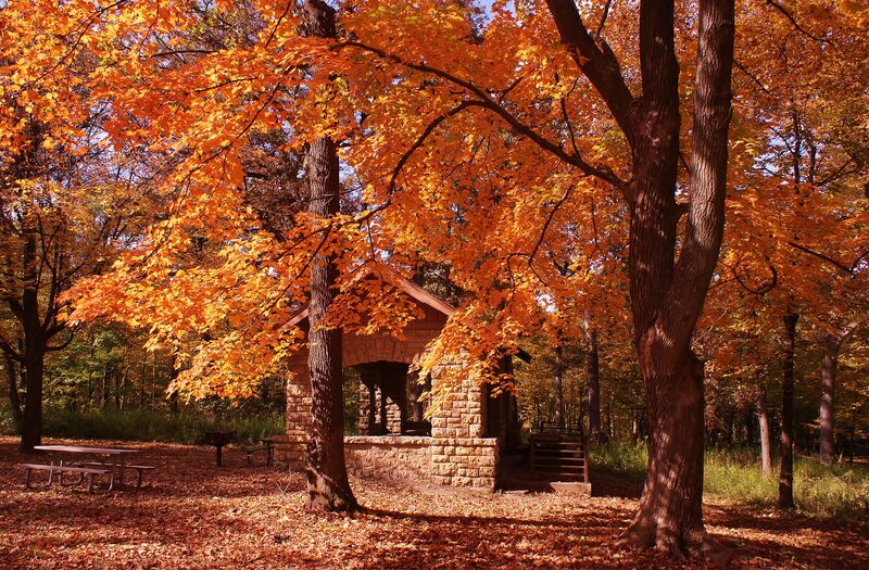 Stone Shelter in Forest