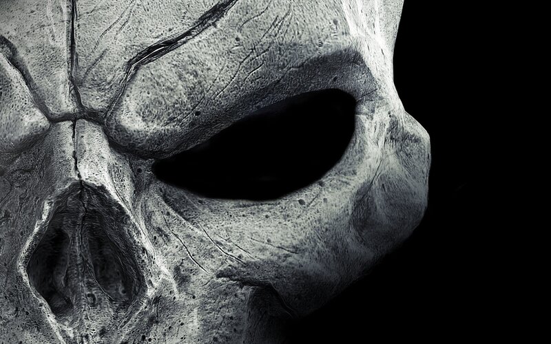 stone skull close-up